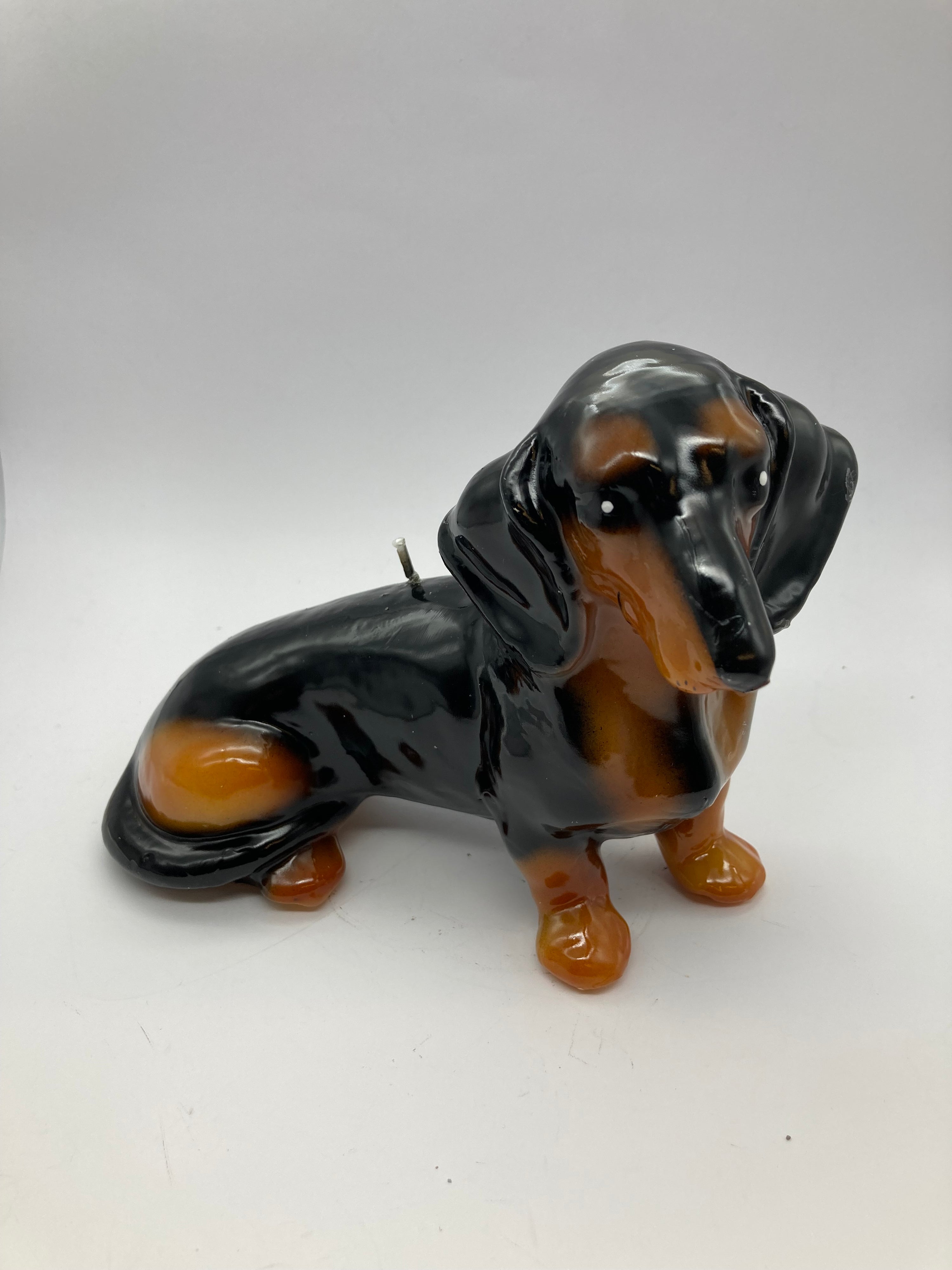 Dog Candle