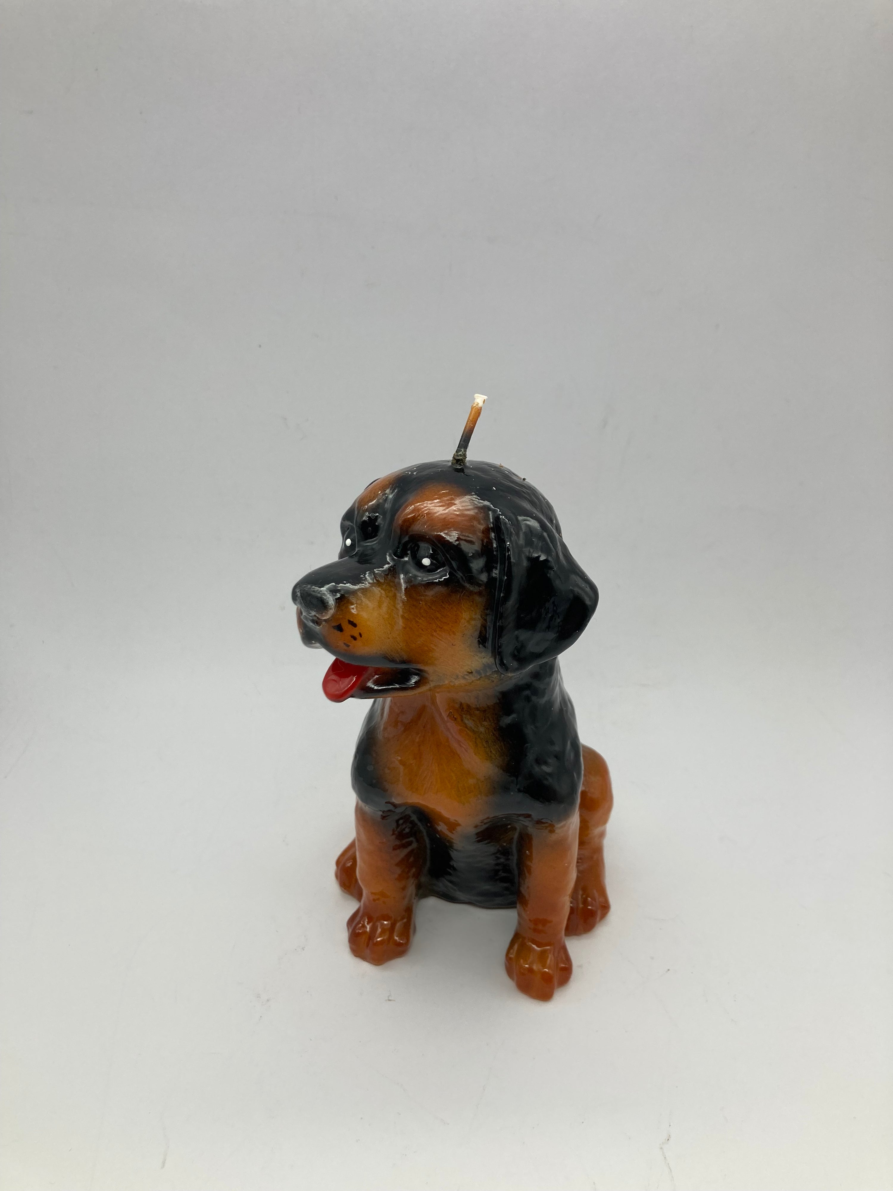 DOG CANDLE